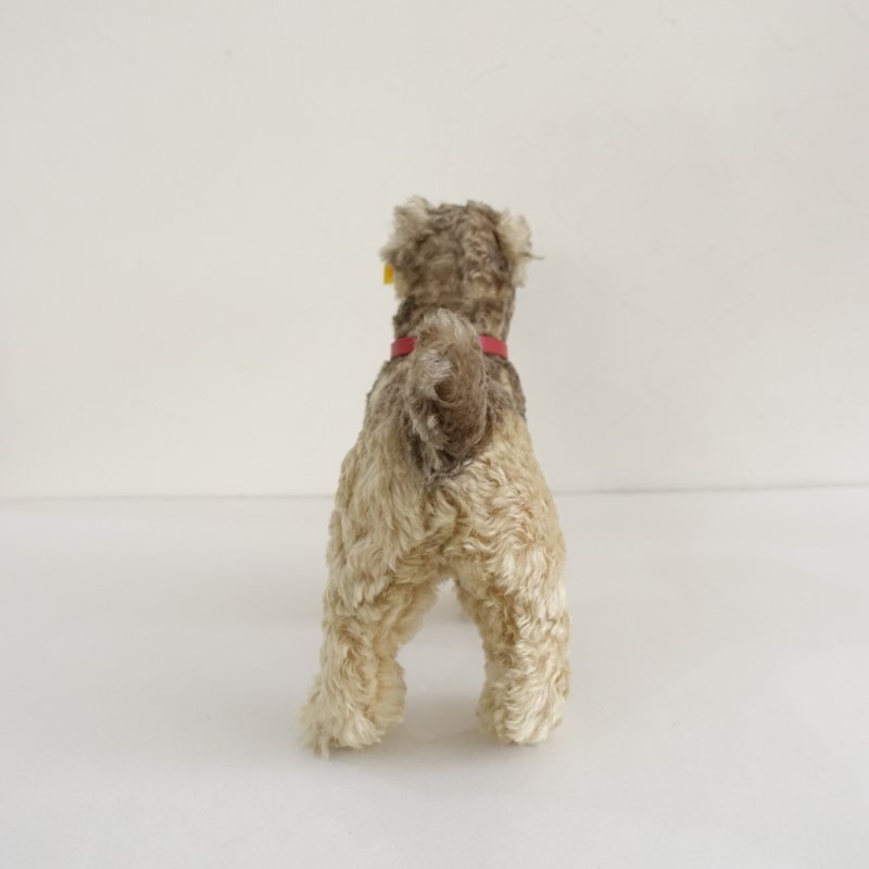���奿���� Steiff ����ʥ������̤������   (ac30-2603-220)��81E62��