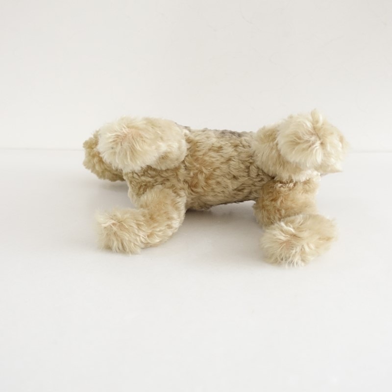 ���奿���� Steiff ����ʥ������̤������   (ac30-2603-220)��81E62��