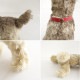 ���奿���� Steiff ����ʥ������̤������   (ac30-2603-220)��81E62��