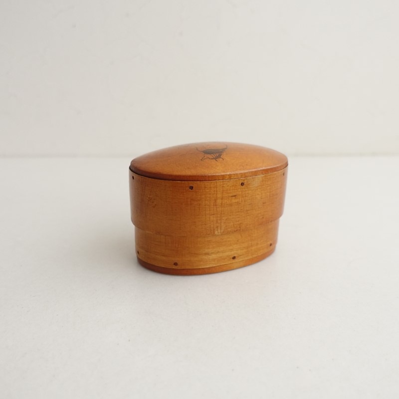 ���̲���   �̲��ӥ�ơ��� �ȥ����볨��Svepask   (ac30-2512-5)��20A62��