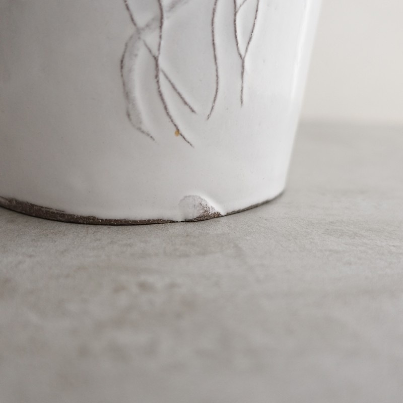 �����5.2���ۥ����ƥ����ɥ�����å� ASTIER de VILLATTE Fleurs pitcher   (wa5-2603-60)��50F62��