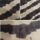 ��ǥ˥������� denis colomb �����ߥ亮 ���֥�����Ƚ���ȡ���   (st85-2603-44)��22D62��