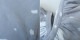 �ߥʥڥ�ۥͥ� mina perhonen cross bird�ץ��ȥ��㥶�����åȥ���  40 (2-2412-78)��60A52��