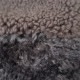��̤����/���2.2���ۥۥ磻�� whyto. ���إܥ��٥���  36 (jk25-2602-661)��42C62a��