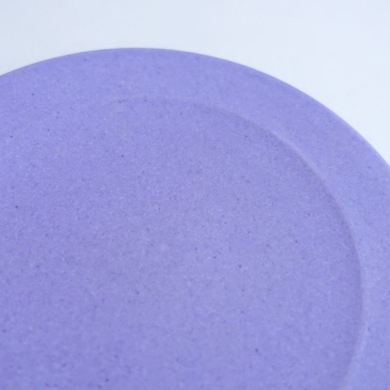 ��¼���� �ץ졼�� 21cm   (wa5-2601-134)��62B62��