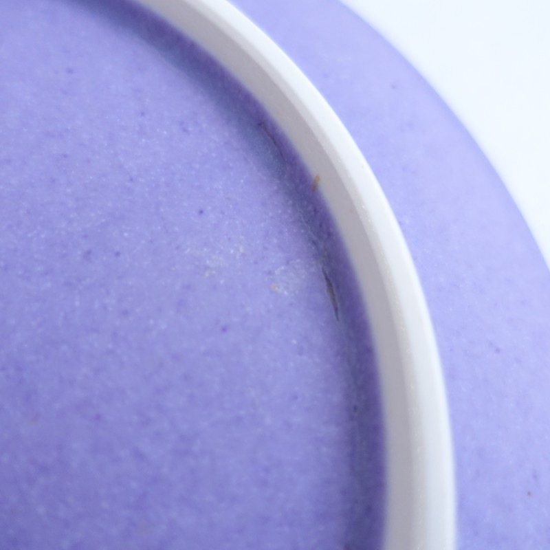 ��¼���� �ץ졼�� 21cm   (wa5-2601-134)��62B62��