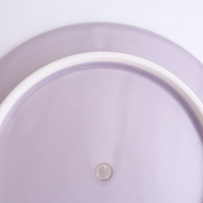 ��¼���� �ץ졼�� 21cm   (wa5-2601-132)��62B62��