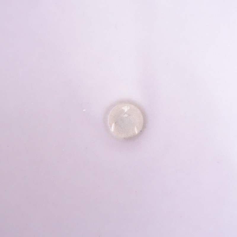 ��¼���� �ץ졼�� 21cm   (wa5-2601-132)��62B62��