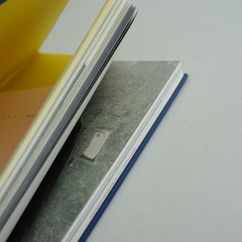 国内流通版　和訳冊子付き　minä perhonen　ripples ミナペルホネン mina perhonen ripples 和訳冊子付き (ac87-2507