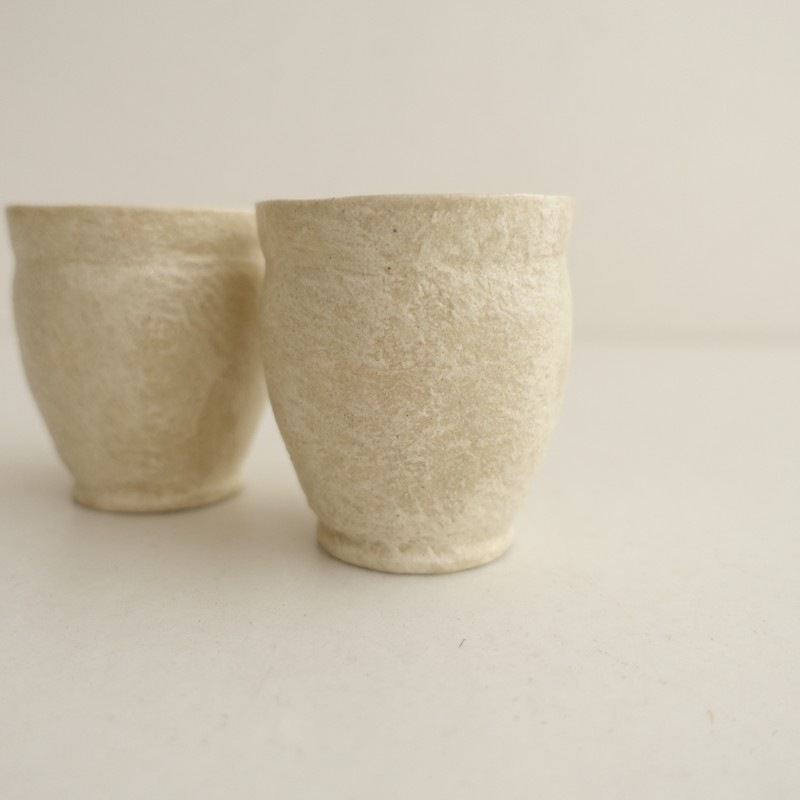 ��̤���ѡ�  ������ �����ݥ��å� 2�����å�   (wa23-2605-55)��22F62��
