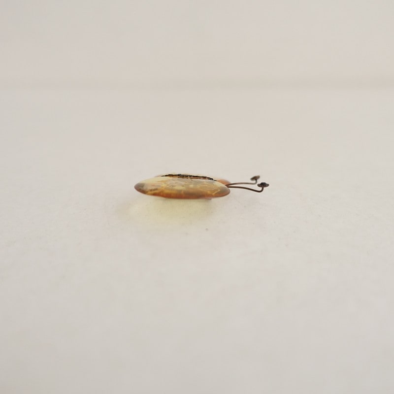 �ߥʥڥ�ۥͥ� mina perhonen choucho �֥�����   (ac30-2510-161)��20L52��