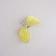�ߥʥڥ�ۥͥ� mina perhonen choucho �֥�����   (ac84-2607-7)��70H62��