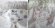 ����Ʋ ���åȥ�饦��ɥ��顼����ĥ��ԡ���  2 (1-2602-162)��11C62��