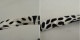 �ޥ��å� marimekko kompotti �ȡ��ȥХå�   (ba7-2606-243)��10H62��