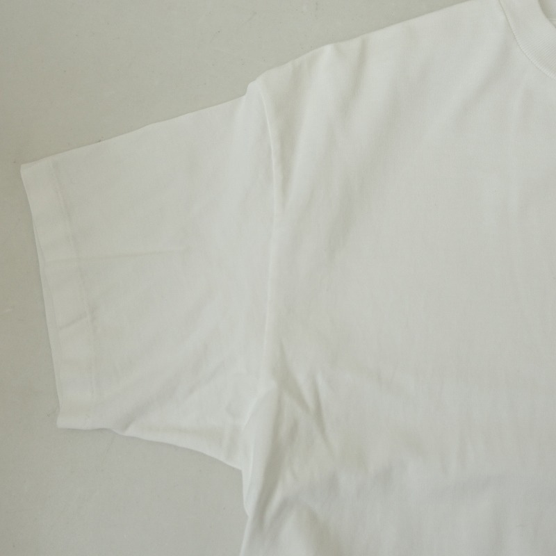 ڥ/1.3ۥ꡼ AURALEE LUSTER PLAITING TEE åȥT  1 (25-2508-519)71I52