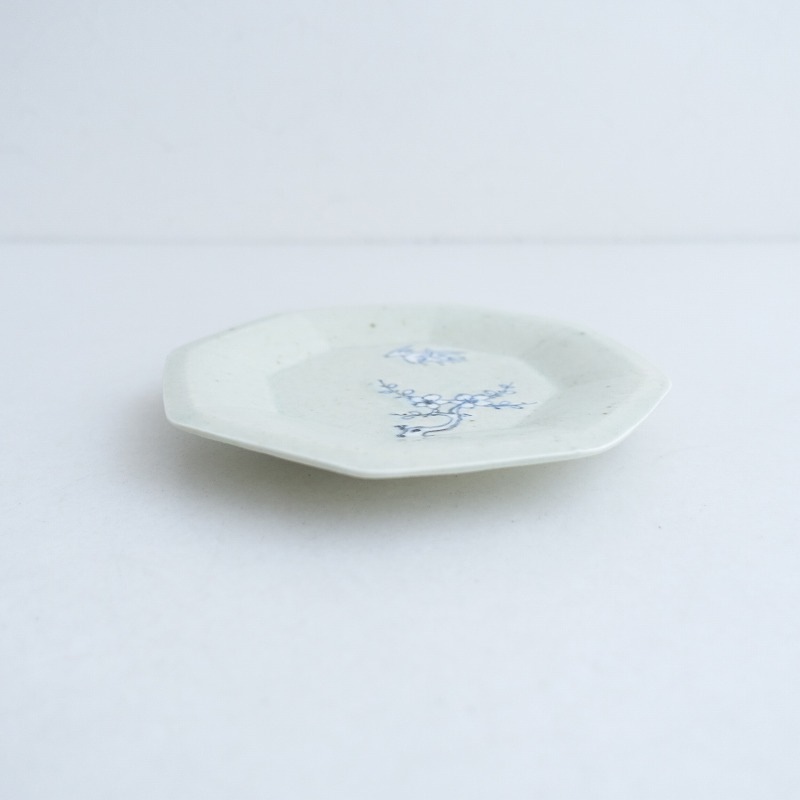 �����ʡ�  �������������� Ȭ�ѻ� 16cm   (wa84-2507-28)��40H52��