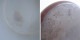 ̲ۥơ/եͥ FINEL  ξ 21cm   (wa87-2505-114)12F52