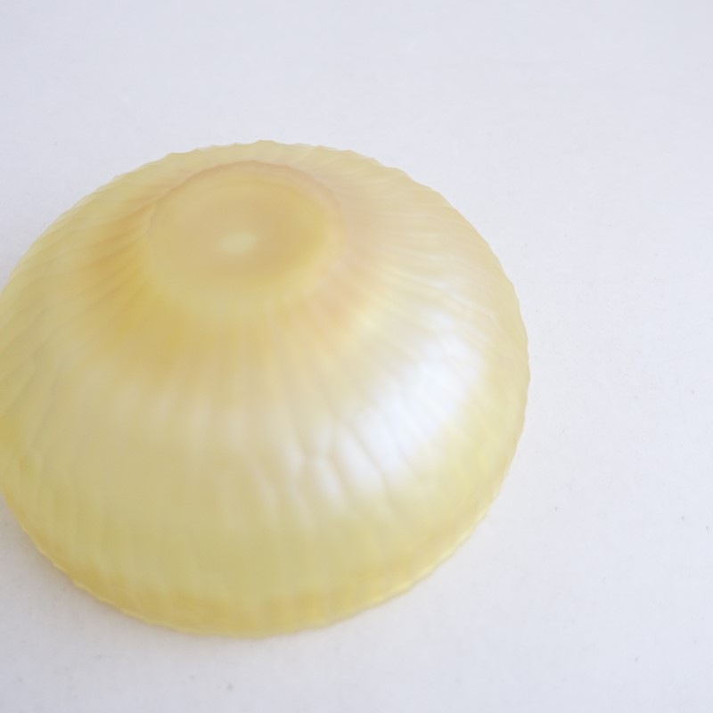 �����ʡ۴���/������ tsuji kazumi ���åȥ��饹�ܥ��� ���Τ�   (wa5-2603-70)��30F62��