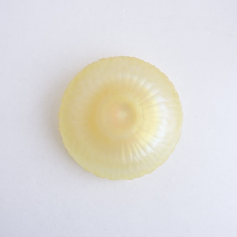 �����ʡ۴���/������ tsuji kazumi ���åȥ��饹�ܥ��� ���Τ�   (wa5-2603-70)��30F62��