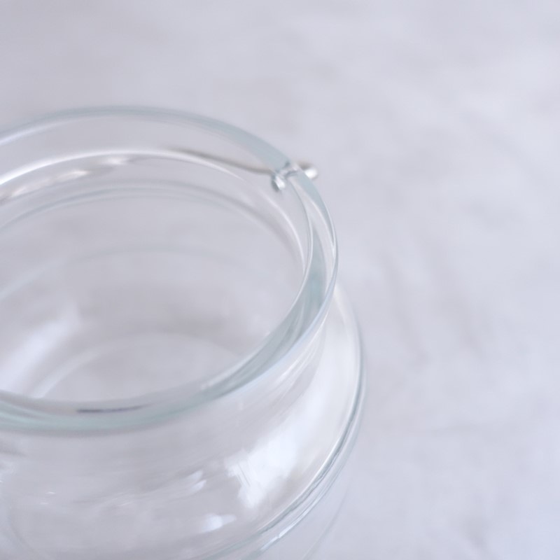 �����סۥۥ�६���� HOLMEGAARD SCALA ���ȥ졼�����㡼 0.5L   (wa23-2607-91)��10I62��