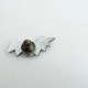 ߥʥڥۥͥ mina perhonen bat-chan ԥХå   (ac84-2503-97)51D52