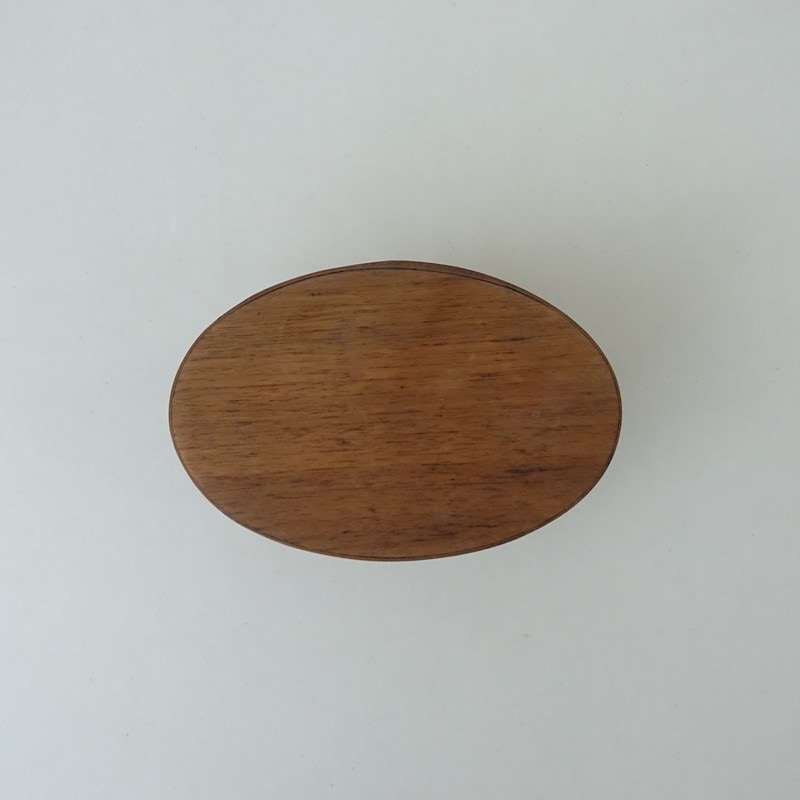 ������&�������� ARTS&SCIENCE Oval box �����������ܥå���   (ac31-2511-63)��21A62��