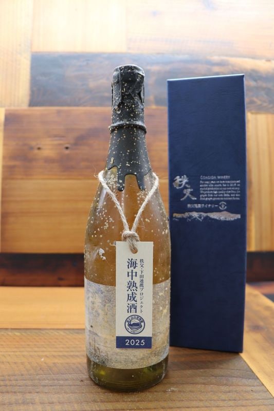 海中熟成酒2025 DFBミードトロピカル ライチ花