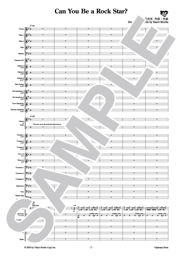 Can You Be a Rock Star? / Harmony of You and Me