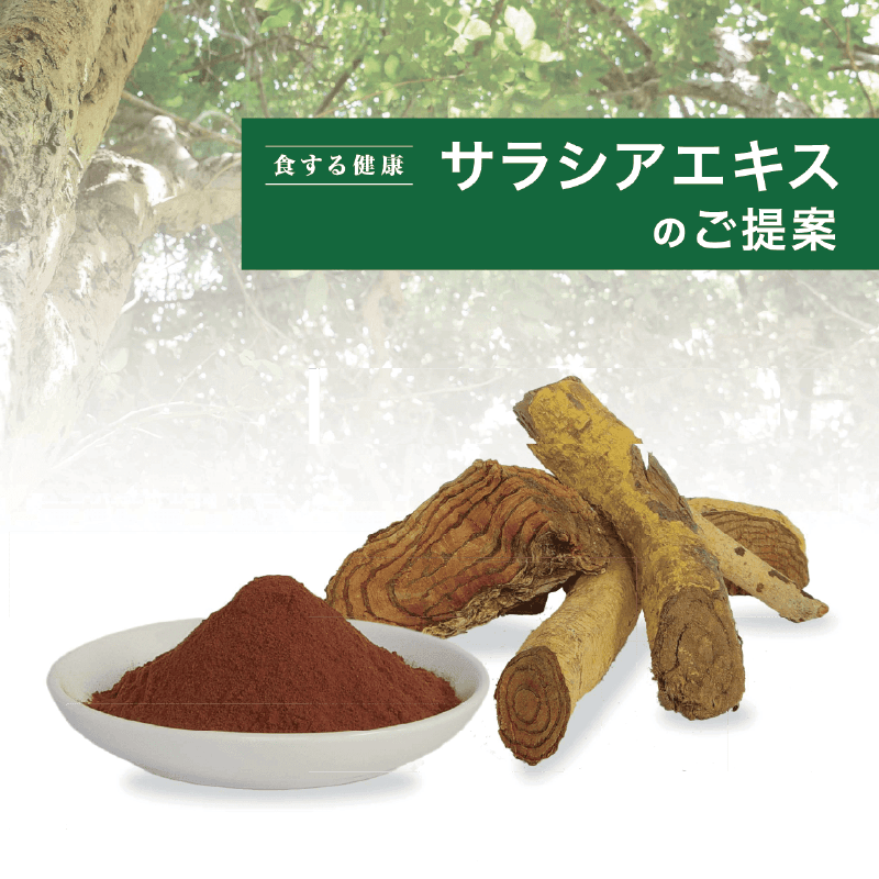 サラシアエキス顆粒 3箱セット サラシアエキス粉末・顆粒 | すべての商品 | タカノハートワークス