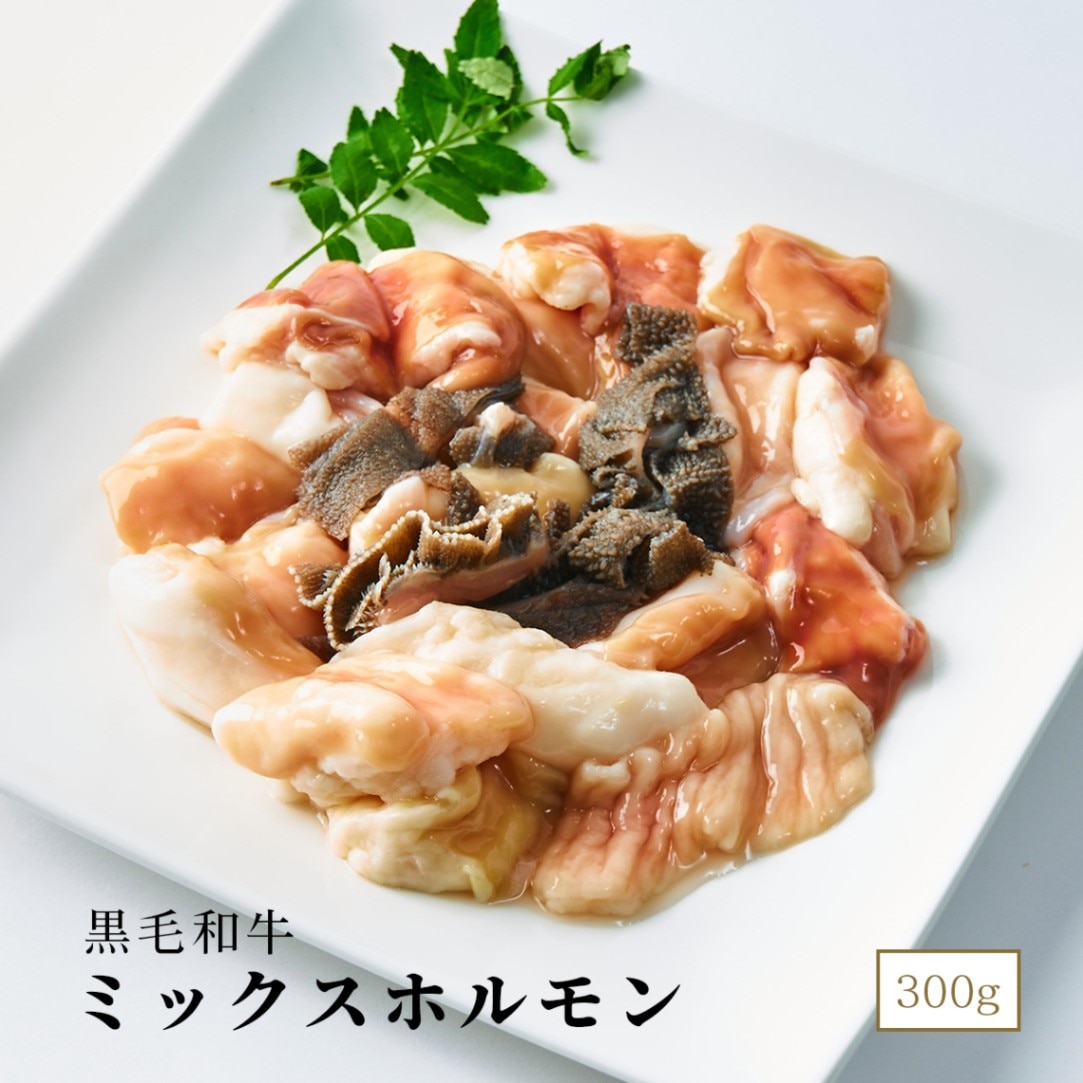黒毛和牛 ミックスホルモン 300g