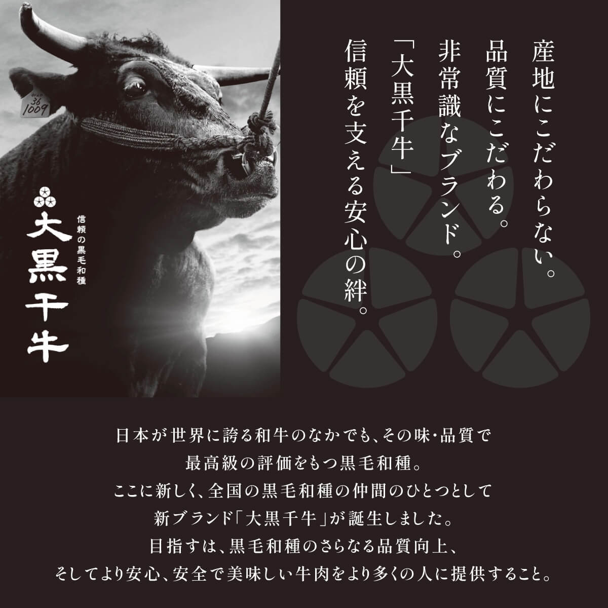 大黒千牛　黒毛和牛　冷凍ミンチカツ　5個×2袋(10個)　