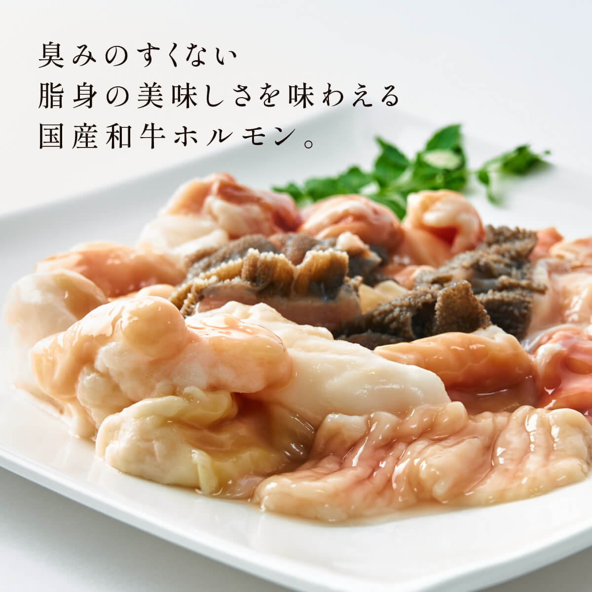 黒毛和牛 ミックスホルモン 300g