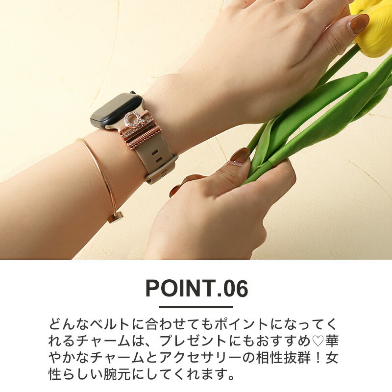 【AppleWatch シリコンバンド向け チャーム】 MOD 時計 ベルト ループチャーム アップルウォッチバンド ループ アクセサリー 遊環 B P Q V X Z アロイ合金