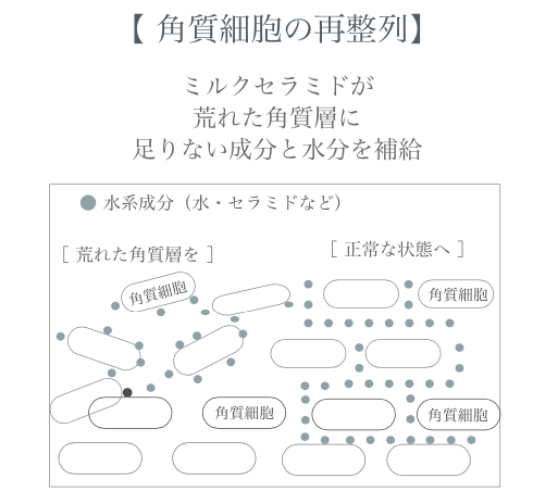 プラズマプラセンタウォーター　60ml （化粧水）