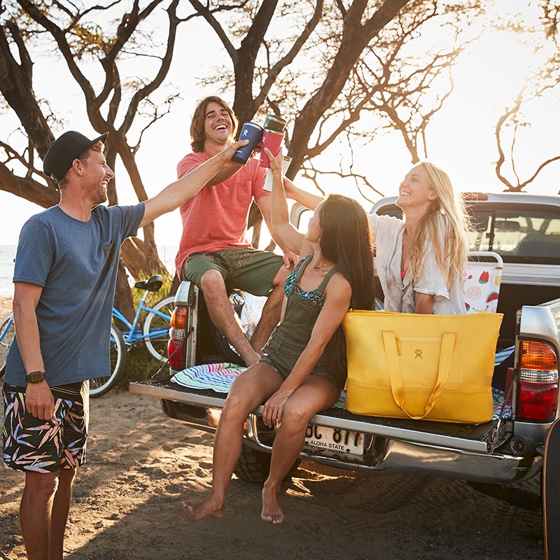 hydro flask 35l insulated tote