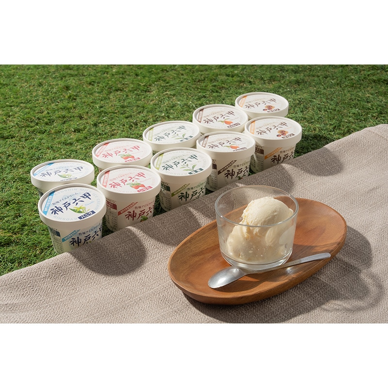 牧場アイスクリーム神戸六甲　（10個）