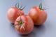 あわじ島グルメトマト(R)