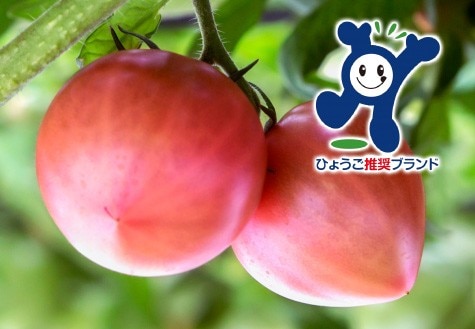 あわじ島グルメトマト(R)1箱＆ドライトマト1袋