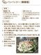 【深煎有糖】ピーナッツバター 100g
