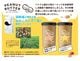 【浅煎無糖】ピーナッツペースト 100g