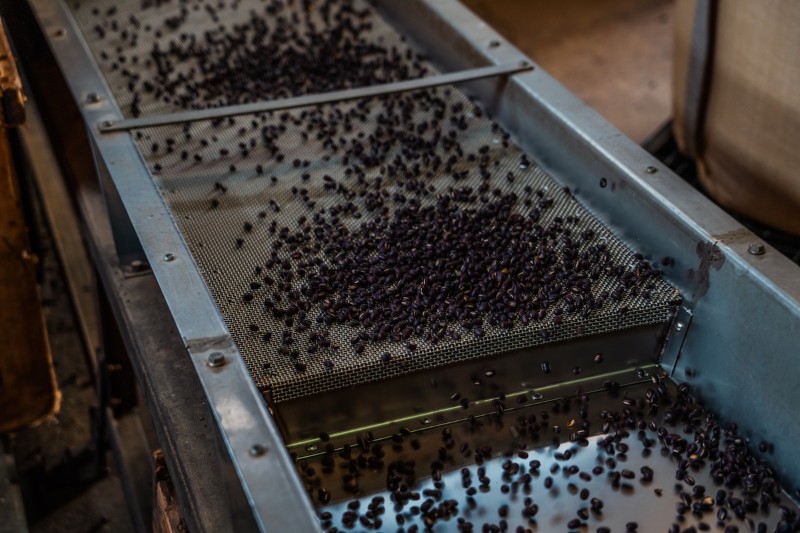 hadzuki　大納言あずき茶〈兵庫県産 美方大納言小豆〉
