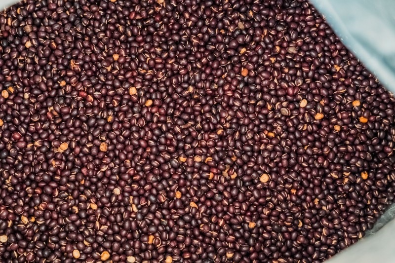 hadzuki　大納言あずき茶〈兵庫県産 美方大納言小豆〉