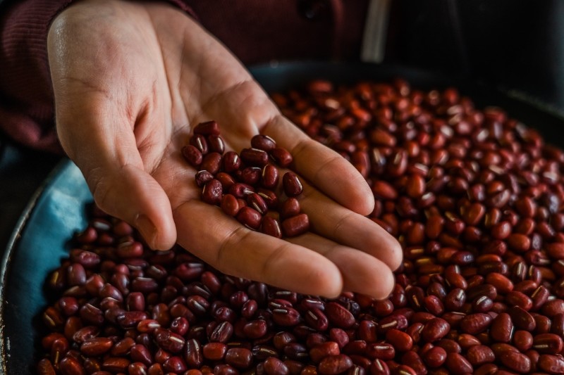 hadzuki　大納言あずき茶〈兵庫県産 美方大納言小豆〉