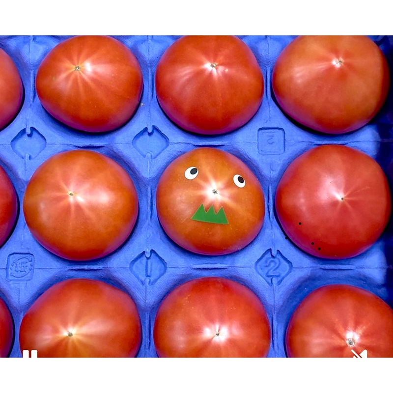 トマトの一番星ピューレ　箱入り（３本セット）