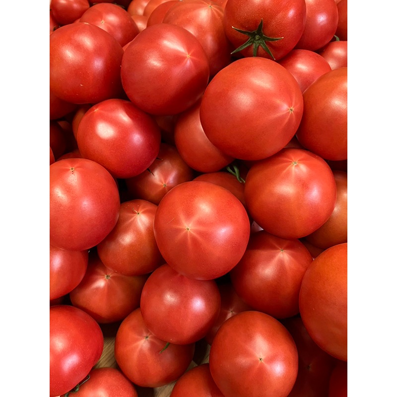 トマトの一番星ピューレ　箱入り（３本セット）