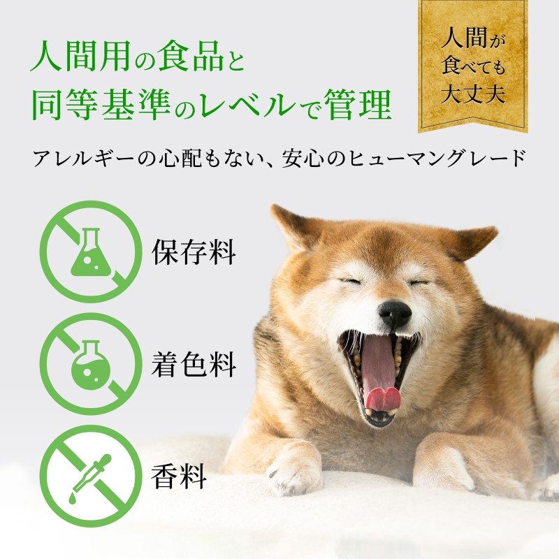 ペットフード　猪ジャーキー40g×3P
