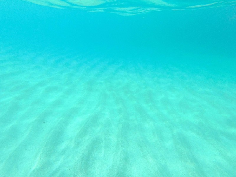 たけの「誕生の塩」