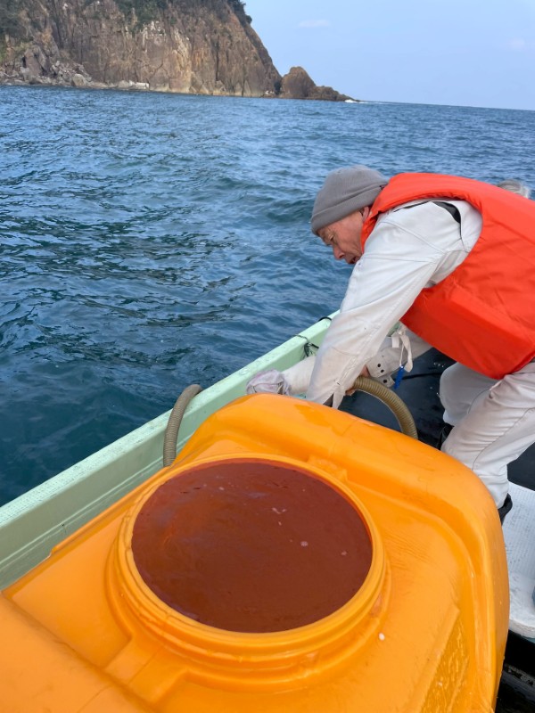 たけの「誕生の塩」