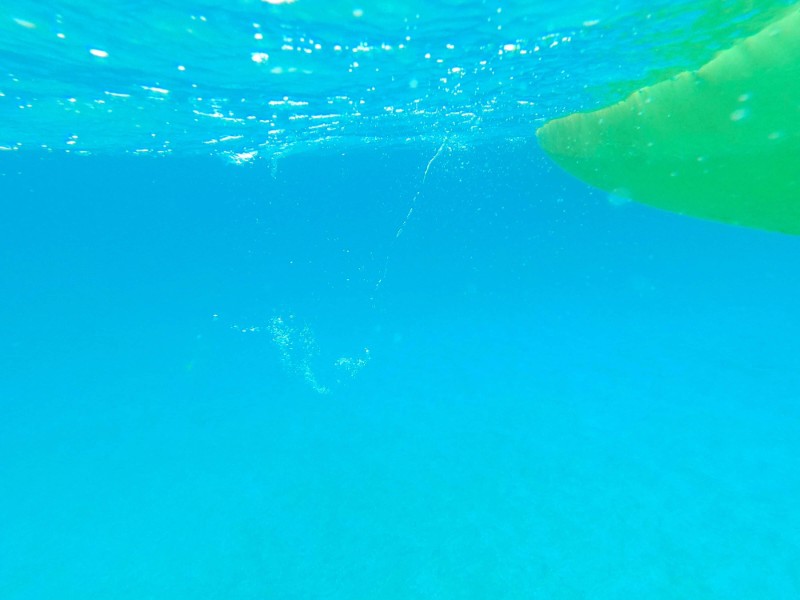 たけの「誕生の塩」