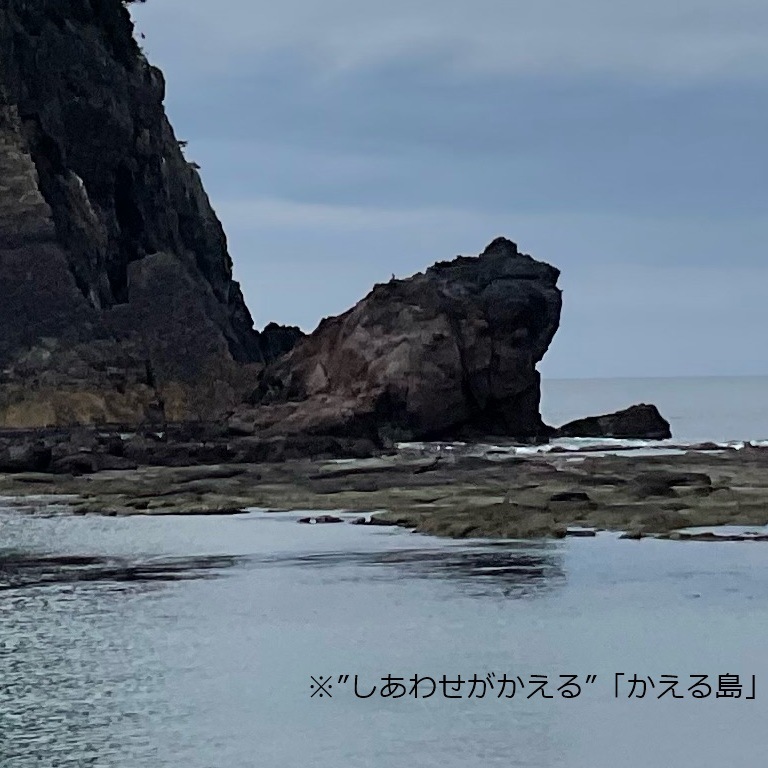 美方大納言小豆御守カレー（小豆とお出汁のカレー）
